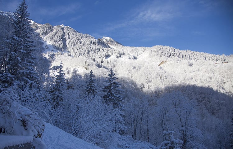 La ferme saint aubin